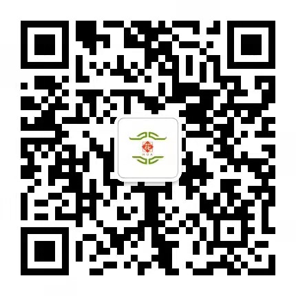 西安碧盛苗木花卉有限責任公司